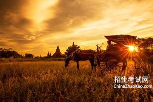 描寫帆的詩句古詩