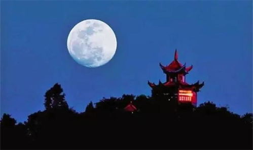 古詩中寫詩人生活的詩句是