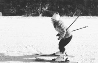 關(guān)于揚(yáng)州的詩句古詩詞,有關(guān)菊花的詩句古詩詞,有關(guān)梨花的詩句古詩詞