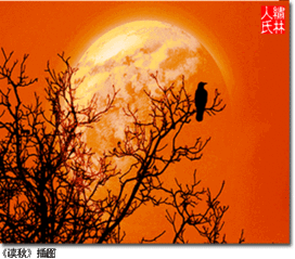 關(guān)于寒鴉的詩句