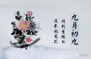 關(guān)于重陽節(jié)的現(xiàn)代詩句大全,關(guān)于重陽節(jié)的現(xiàn)代詩句有哪些,重陽節(jié)現(xiàn)代詩句大全