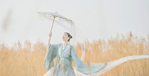 有關(guān)于思鄉(xiāng)心切的詩句