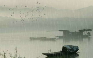 贊美冬雪比喻愛情的詩(shī)句古詩(shī)大全