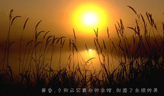 詩(shī)句,夜晚,安靜,表達(dá)