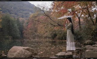 描寫秋露的詩句古詩大全