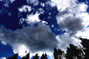 關(guān)于白云的詩句2