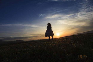 關(guān)于未來的勵(lì)志古詩句