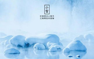 關(guān)于寫雪的詩(shī)句古詩(shī)大全,贊美雪的詩(shī)句古詩(shī)大全,描寫冬天雪的詩(shī)句古詩(shī)大全