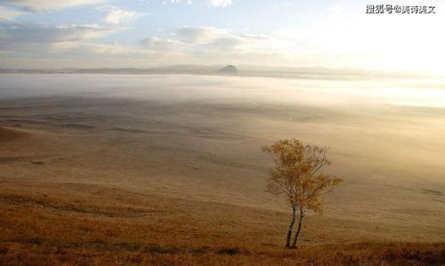 海子關(guān)于孤獨的詩句