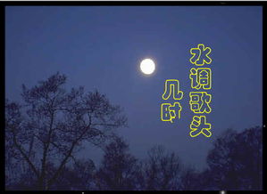 古詩(shī),句子,明月,幾時(shí)有