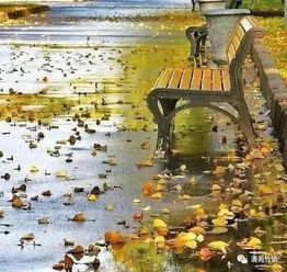 關(guān)于秋雨城市的詩(shī)句古詩(shī)