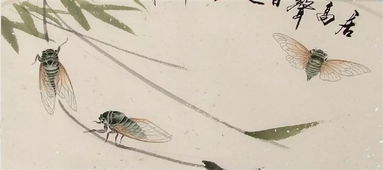 關(guān)于蟬的詩句和古詩