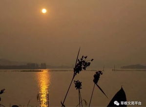 浪跡天涯,詩句,唯美