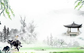 關于清明節(jié)的五言詩句有哪些,描寫清明節(jié)的詩句有哪些,清明節(jié)的詩句有哪些古詩