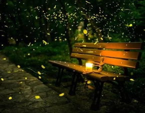 有關夜晚的古詩句