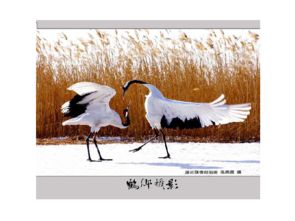 關(guān)于動(dòng)物運(yùn)動(dòng)的詩句