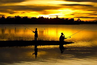 關于竹排垂釣的詩句