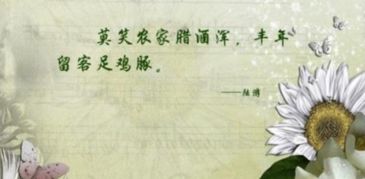 贊美男子好看的古詩(shī),贊美字好看的古詩(shī),贊美青山綠水的古詩(shī)句