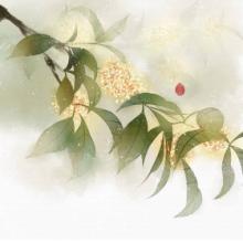 關(guān)于桂花的名言或詩句