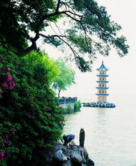 描寫亭臺樓閣的古詩名句,描寫亭臺樓閣的詩句古詩,描寫秋天亭臺樓閣的古詩