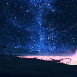 描寫星辰的詩句古詩詞,描寫星辰的詩句古詩小學(xué),描寫秋天的詩句古詩