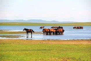 關(guān)于沿途風(fēng)景的古詩句