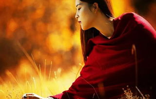 關(guān)于紫蝶的詩句