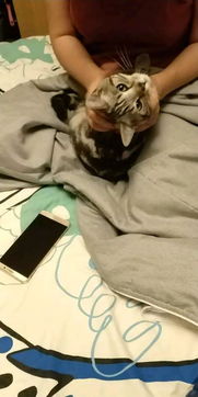 關(guān)于絕交歸還信物的詩句