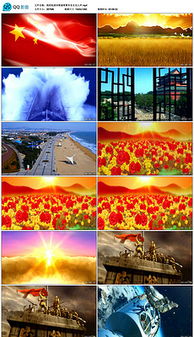 關(guān)于立志報(bào)郊祖國(guó)的詩(shī)句