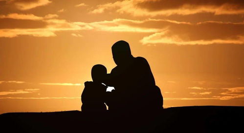 關(guān)于父愛的詩句