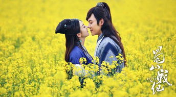 古代關(guān)于兩情相悅的詩(shī)句