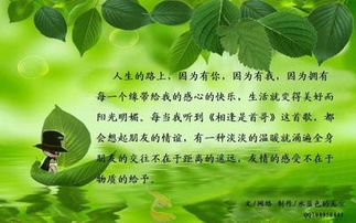 微信關(guān)于友誼詩句