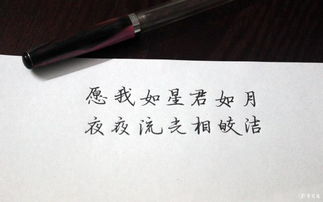 最美的笑容古詩句