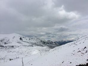 關(guān)于折多山雪景的詩句