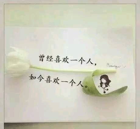 表達心酸無奈的古詩句