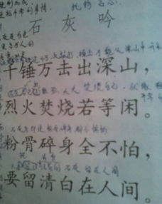 跟石灰吟這首古詩類似的詩句