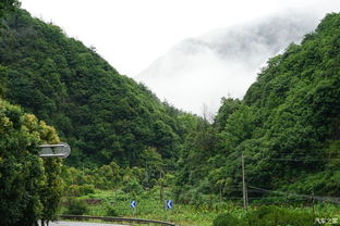 關(guān)于桐廬美景的詩(shī)句