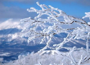 冬雪消融的古詩句