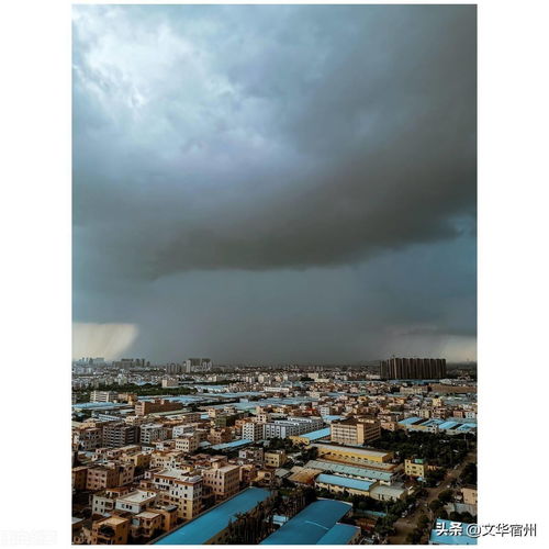 關(guān)于寫下雨的詩句