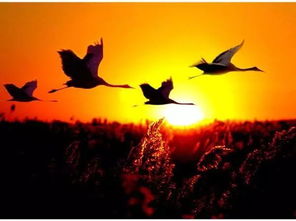 志向,堅(jiān)毅,詩句