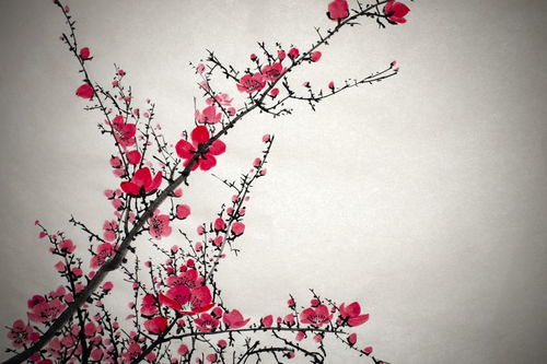 李璟描寫丁香花的詩(shī)句和古詩(shī)