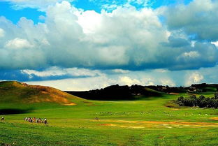 描寫(xiě)木蘭圍場(chǎng)的古詩(shī)句