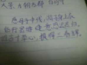 關于贊美親情的詩句古詩詞