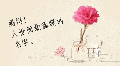 贊美母親生日的短詩(shī)句,思念亡母親的短詩(shī)句,贊美母親的詩(shī)句