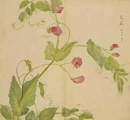 《詩經(jīng)》中的優(yōu)美詩句,《詩經(jīng)》中描寫漢服的詩句,《詩經(jīng)》中的疊詞詩句