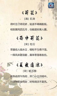 古詩,詩句,夏天,兒童