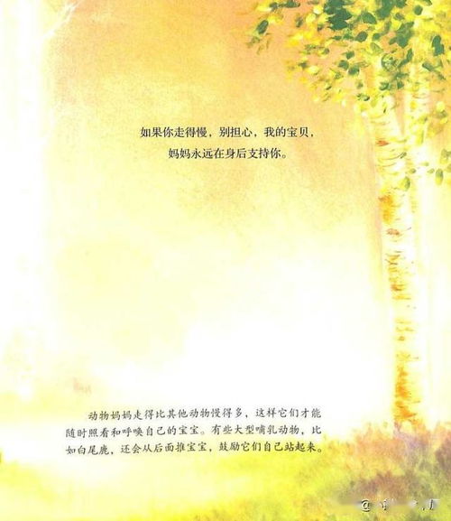 母愛(ài),詩(shī)句