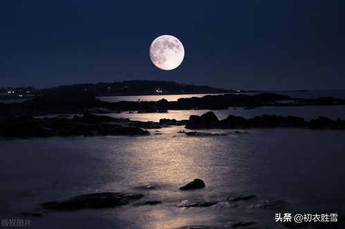 關于大海和月的詩句有哪些