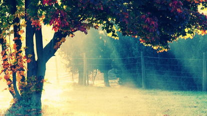 描寫冬天唯美景色詩(shī)句,贊美柳州景色唯美的詩(shī)句,形容景色的詩(shī)句唯美