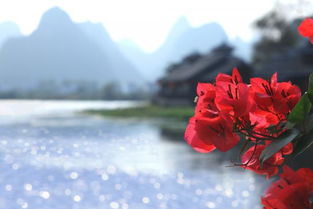 關(guān)于幽馨的詩句